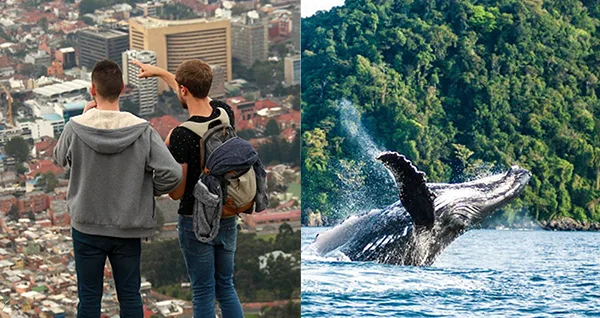 PLAN TURÍSTICO BOGOTÁ Y NUQUÍ 7 DÍAS 6 NOCHES – City Tour en Bogotá y Monserrate, Catedral de Sal de Zipaquirá, Termales, Cascada del Amor y Avistamiento de Ballenas