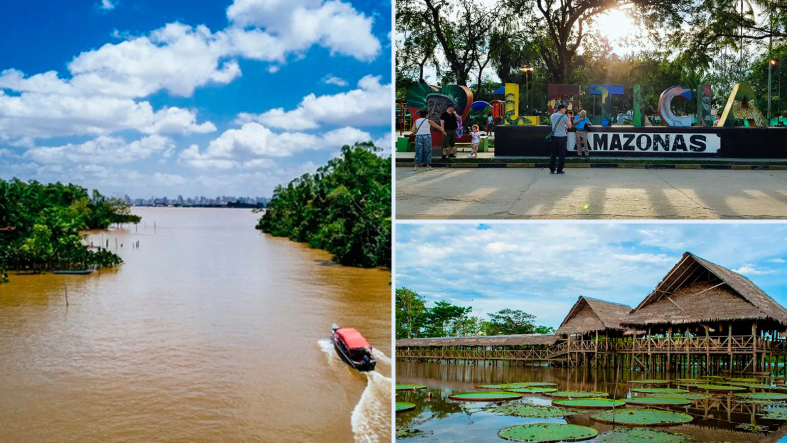 Plan Combinado Cali Y Amazonas 7 Días 6 Noches – City tour Cali, Buga, Zoológico de Cali, Leticia, Santa Rosa, Tabatinga, Puerto Nariño e Isla de los Micos