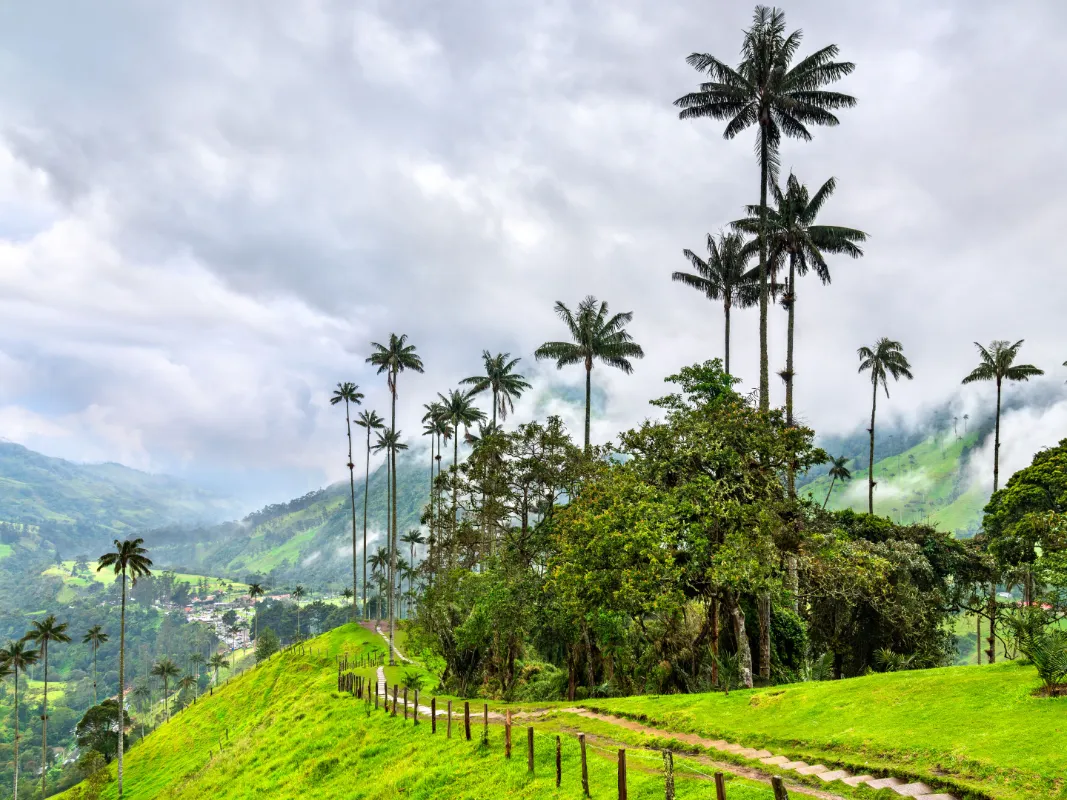 Día 6 –  PUEBLIANDO Y VALLE DEL COCORA