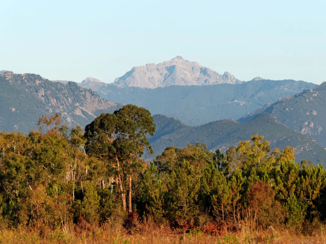 DÍA 7 – VILLAVICENCIO – TIUMA PARK