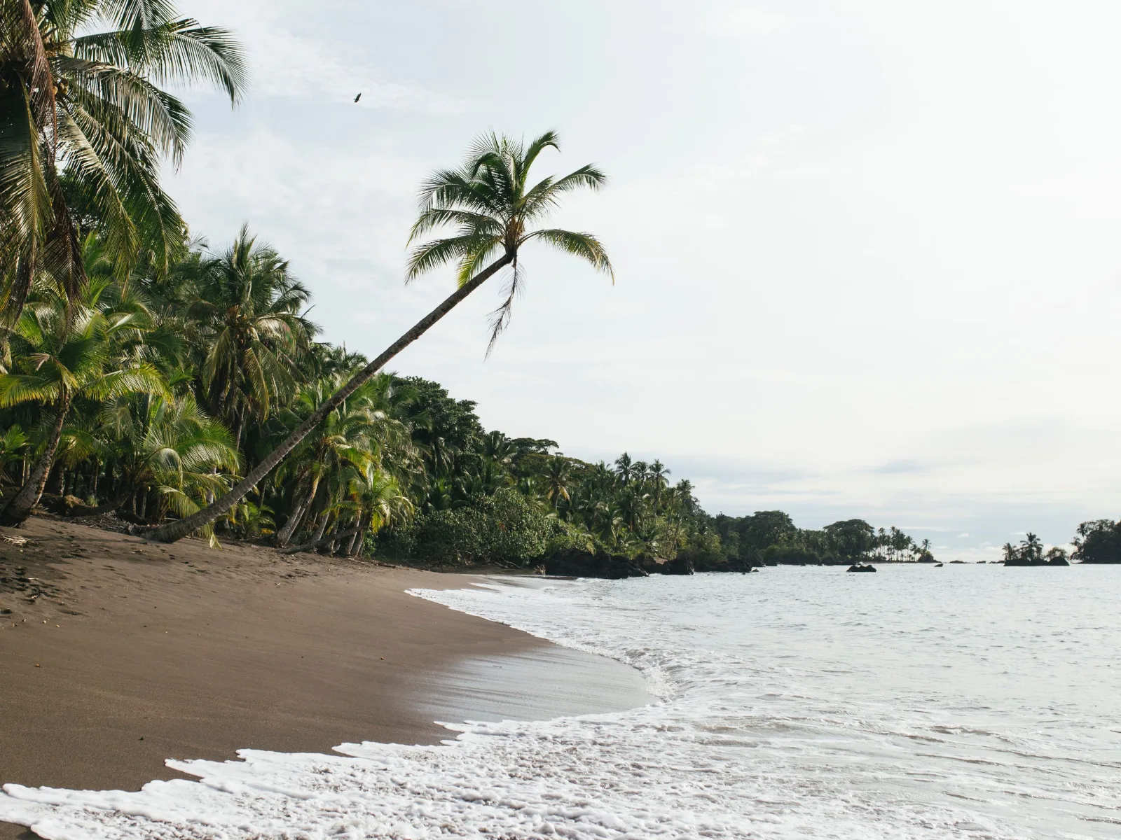Plan Combinado Cali Y Nuquí 7 Días 6 Noches – City tour por Cali, Buga Señor de los Milagros, Zoológico de Cali, Baños Termales, Cascada del Amor y avistamiento de ballenas (en temporada)