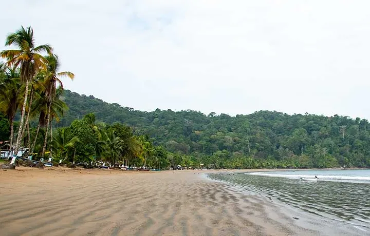 DÍA 7 – BAHÍA SOLANO  -  REGRESO LUGAR DE ORIGEN