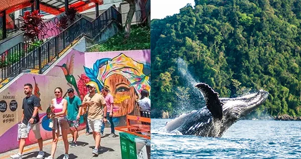 Plan Turístico Medellín Y Bahía Solano 7 Días 6 Noches – City Tour Medellín y Comuna 13, Guatapé, Playa de los Deseos, Cascada del Aeropuerto y Avistamiento de Ballenas