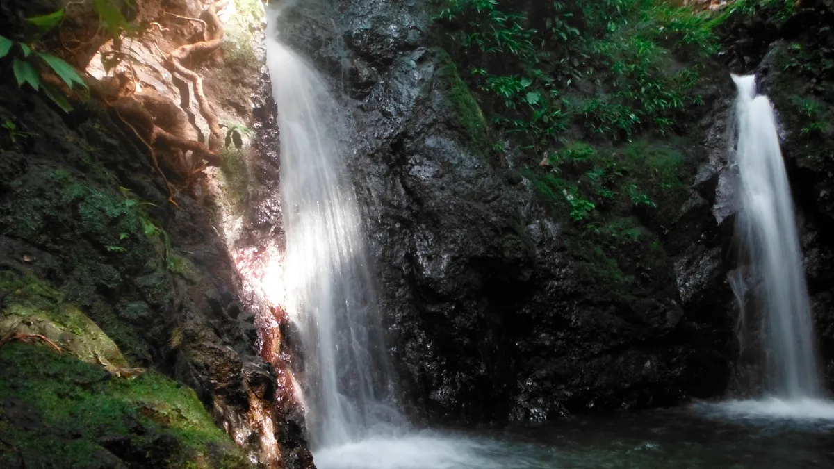DÍA 6 – NUQUI –  AVISTAMIENTO DE BALLENAS Y CASCADA DEL AMORE