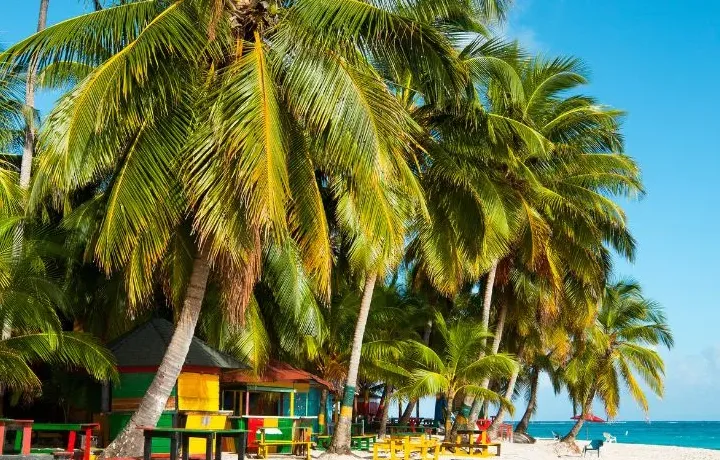 Día 7 – SAN ANDRÉS - REGRESO