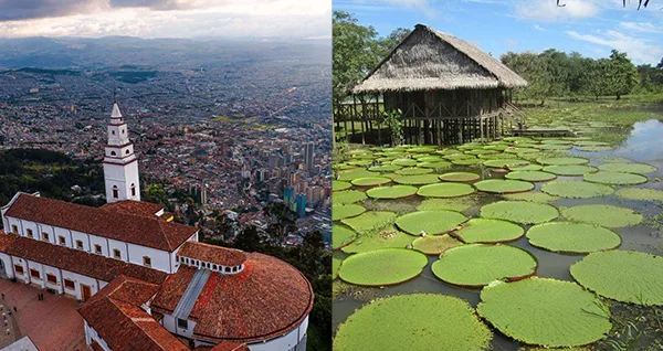 Plan Turístico Bogotá Y Amazonas 7 Días 6 Noches – City tour Bogotá y Monserrate, Catedral de Sal de Zipaquirá, Leticia, Puerto Nariño, Isla de los Micos, Santa Rosa y Tabatinga